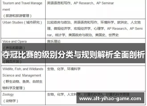 夺冠比赛的级别分类与规则解析全面剖析