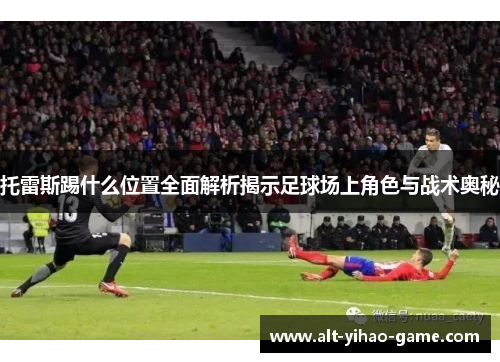 托雷斯踢什么位置全面解析揭示足球场上角色与战术奥秘
